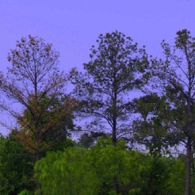 蜀山战纪手游内购破解版下载
