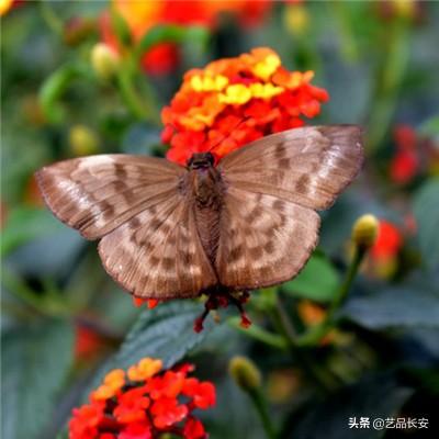 7732游戏盒子官方版2024下载安装