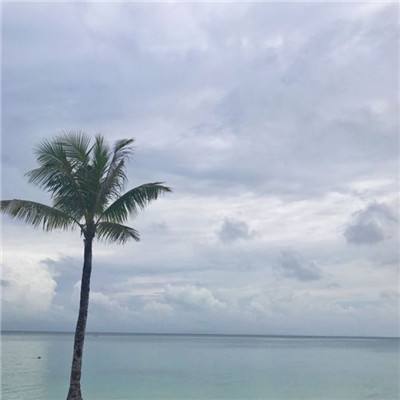 御灵奇缘游戏下载