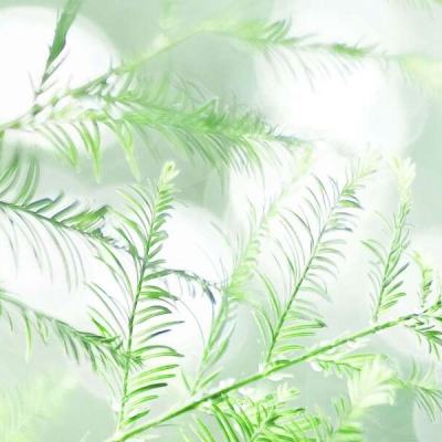 城市汽车驾驶2018手游下载